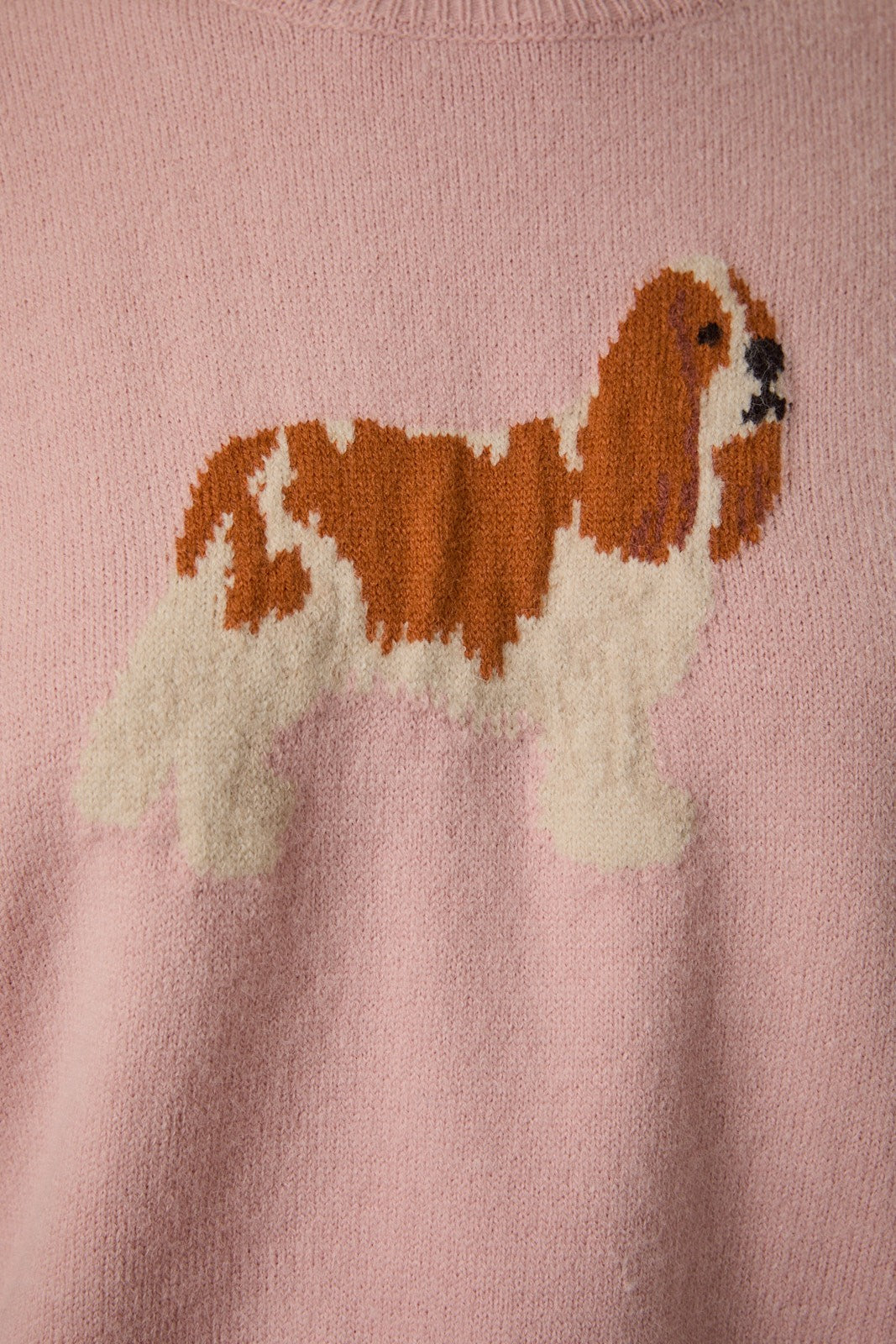 King Charles Spaniel Dog Graphic Sweater