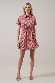 Peacock Bay Mini Dress