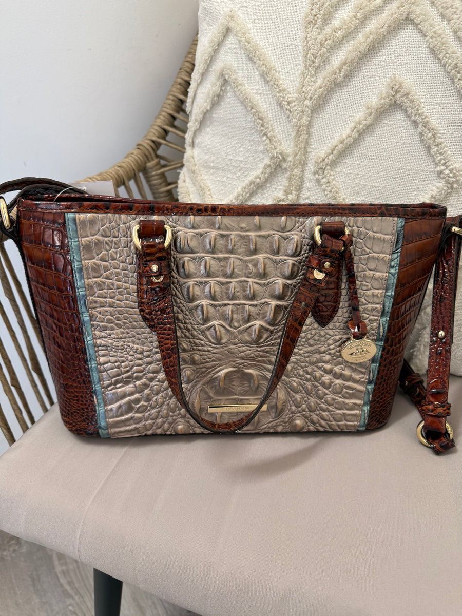 Tricolor Consign Brahmin Handbag