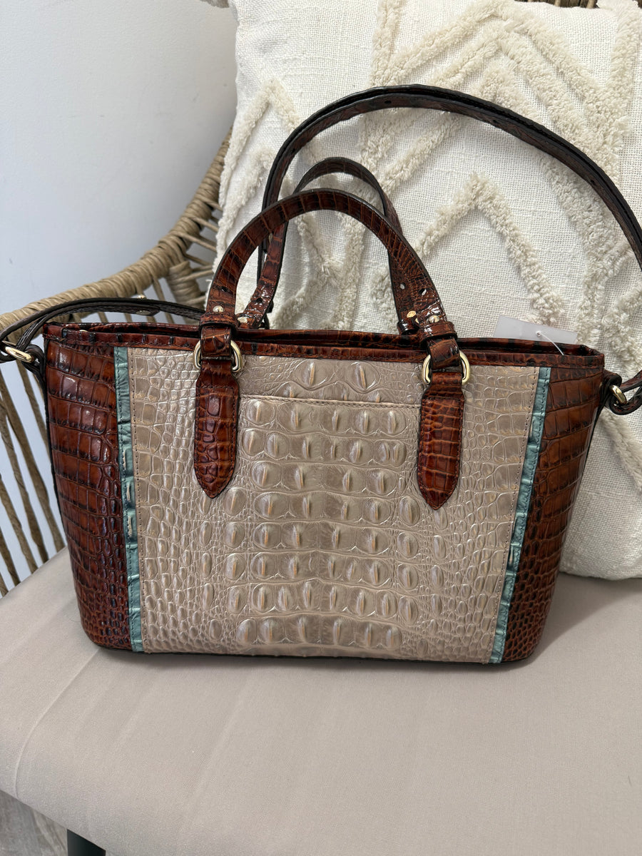 Tricolor Consign Brahmin Handbag